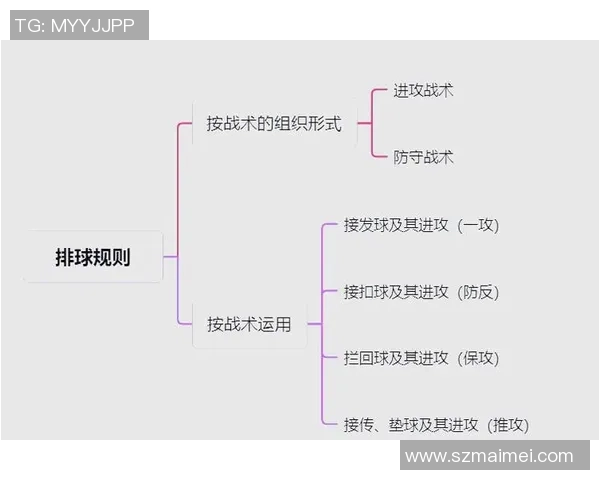 成都排球队进攻体系解析:排球战术的创新与实践探索